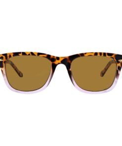 Flynn Reading Sunglasses