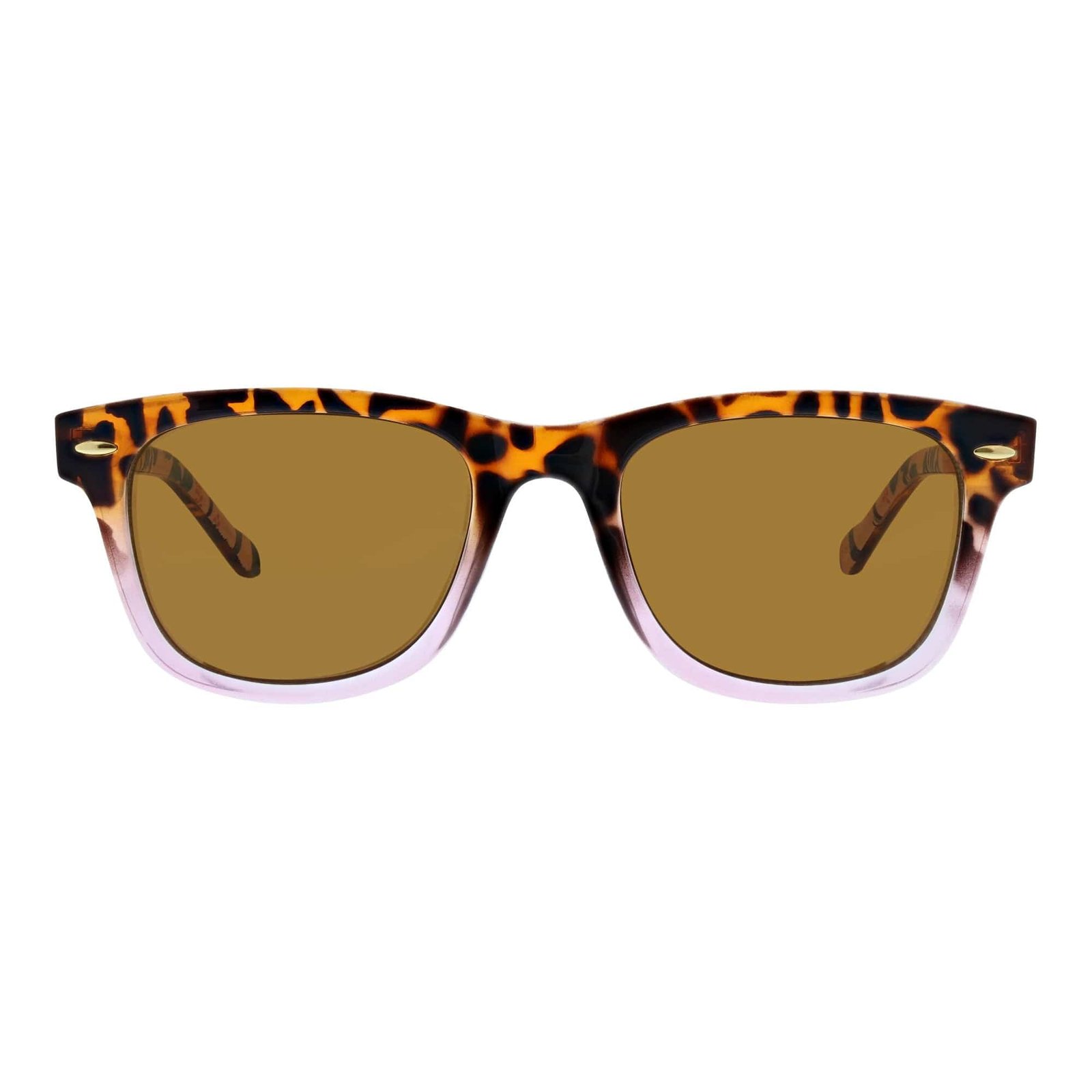 Flynn Reading Sunglasses