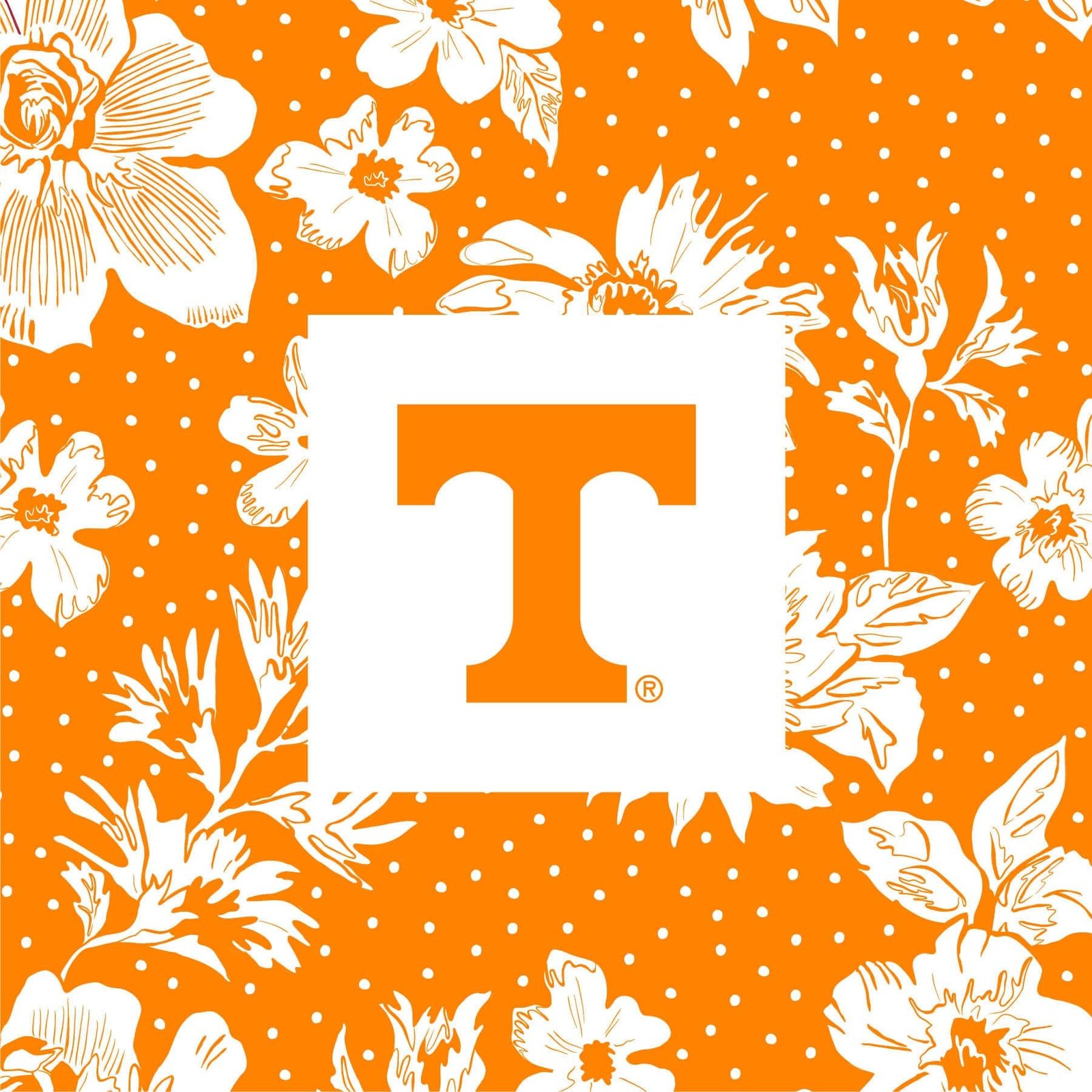 Collegiate Plush XL Throw Blanket - Image 2