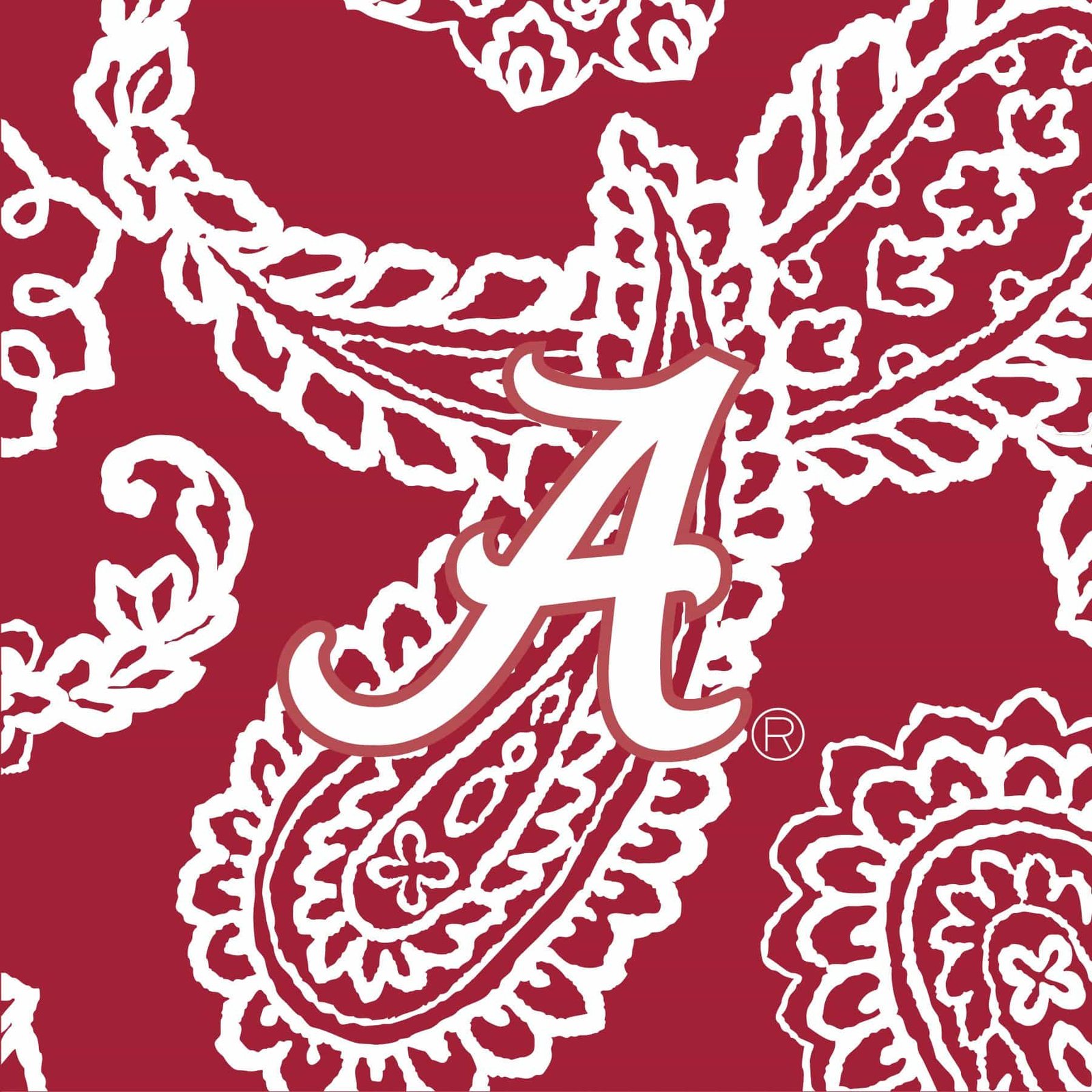 Collegiate RFID All in One Crossbody Bag