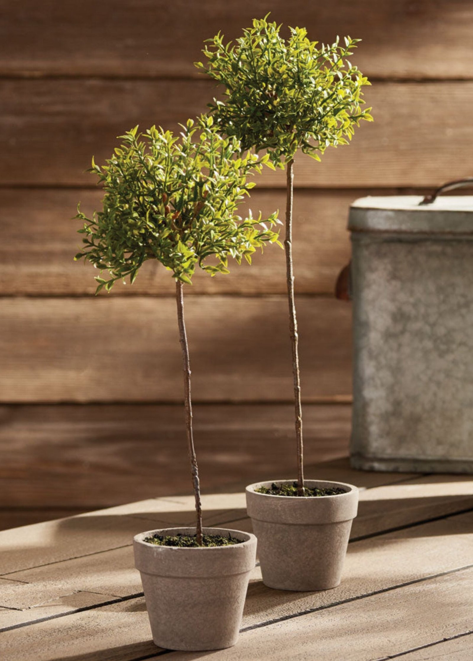 Artificial Thyme Herb Topiary Potted Plant - 13" - Image 4