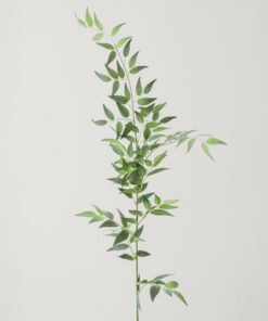Fake Plants Italian Ruscus Branch - 49"