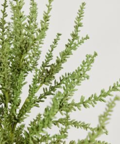 Alternative view of Deluxe Artificial Succulents Sedum Plant - 12"