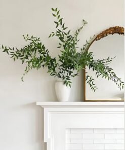 Alternative view of Fake Plants Italian Ruscus Branch - 49"