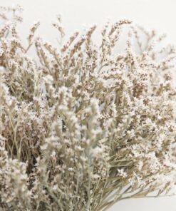 Natural Dried German Limonium Bundle - 10-13"