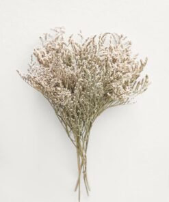 Alternative view of Natural Dried German Limonium Bundle - 10-13"
