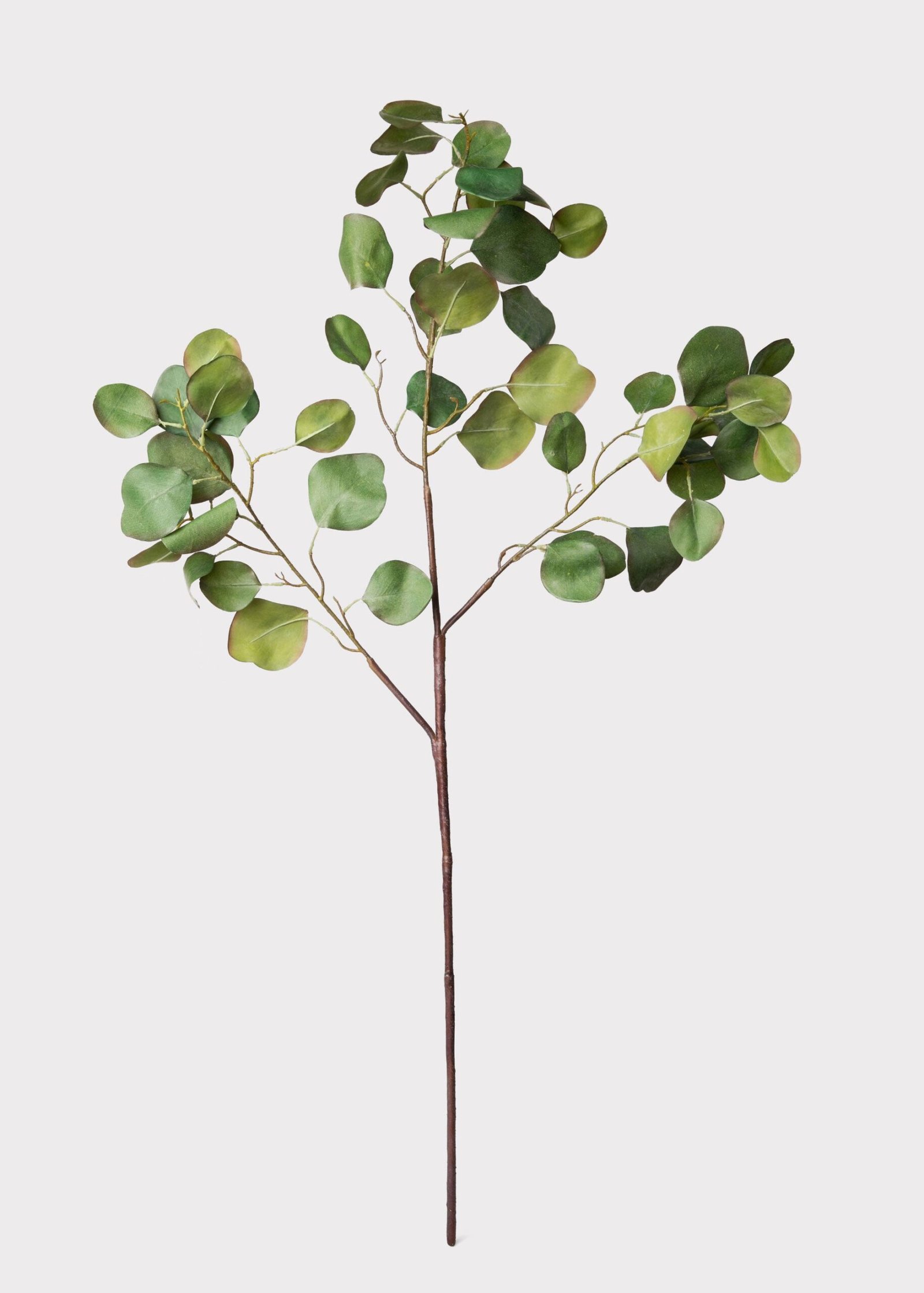 Faux Silver Dollar Eucalyptus Branch - 39" - Image 3