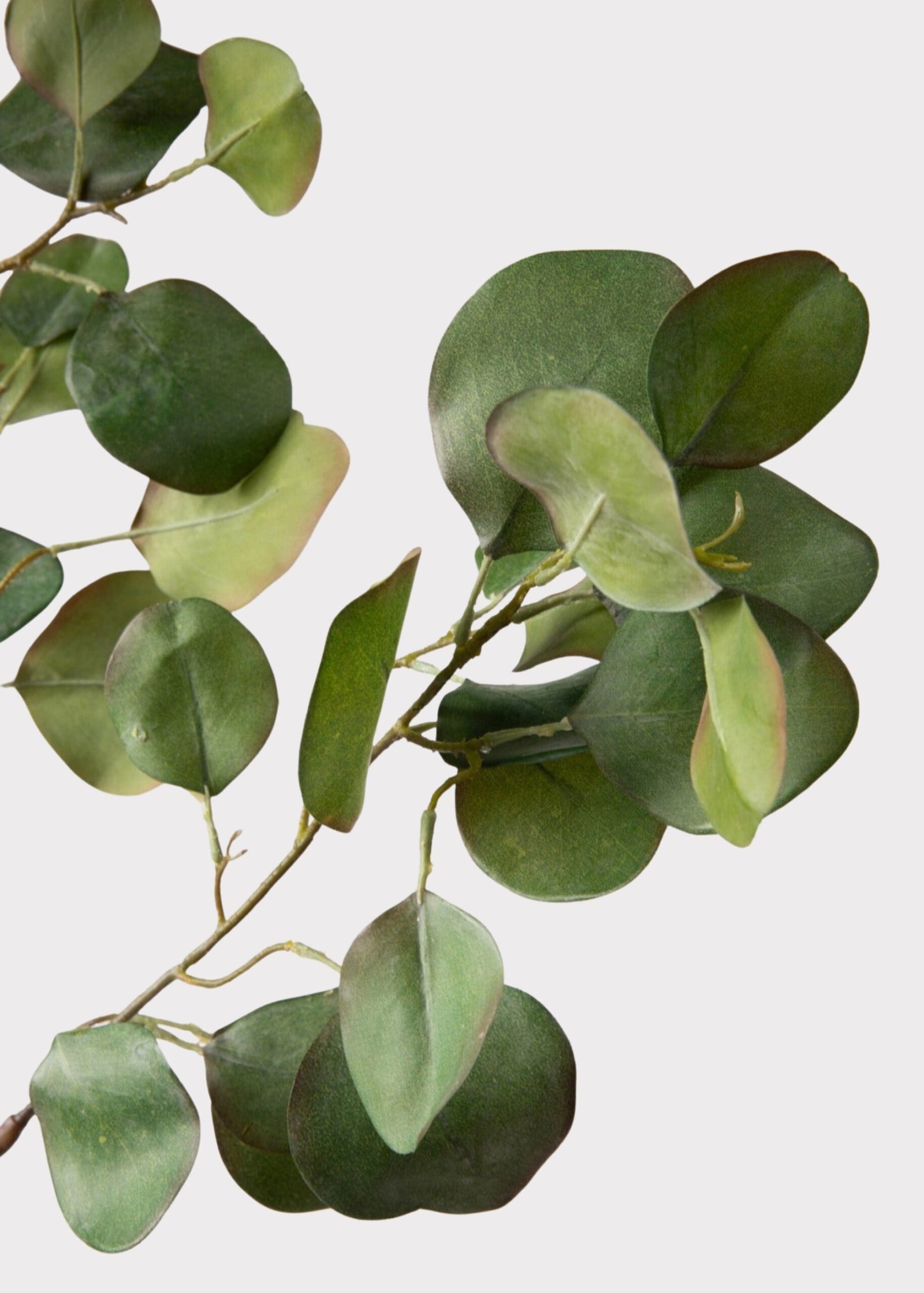 Faux Silver Dollar Eucalyptus Branch - 39" - Image 4