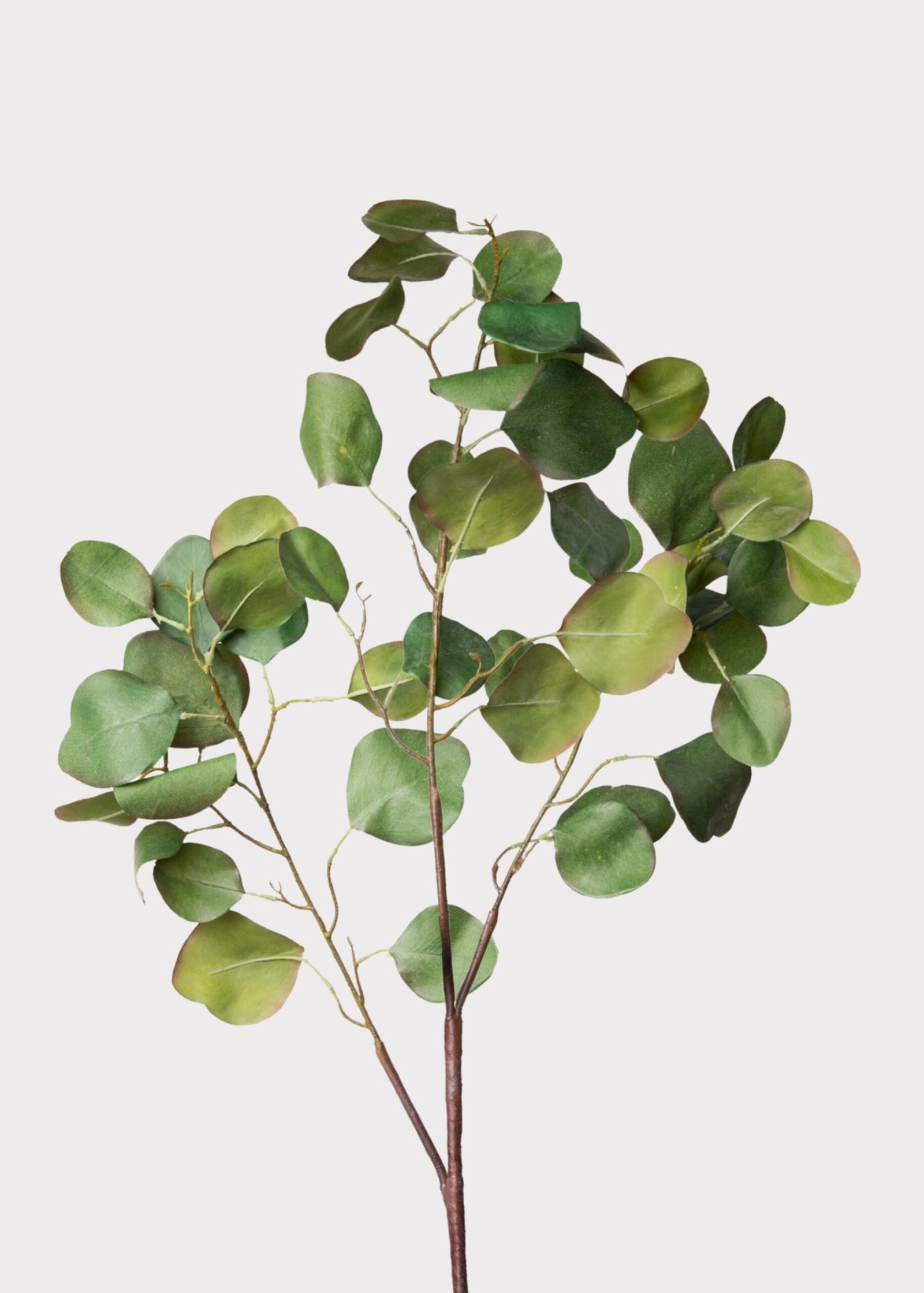 Faux Silver Dollar Eucalyptus Branch - 39"