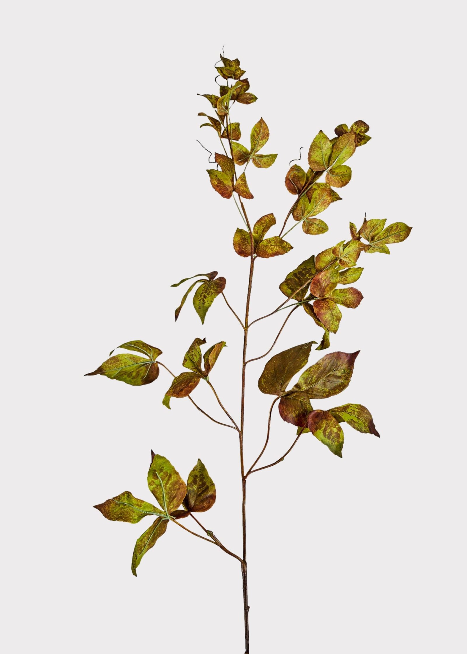 Faux Grape Ivy Stem in Green Eggplant - 48"
