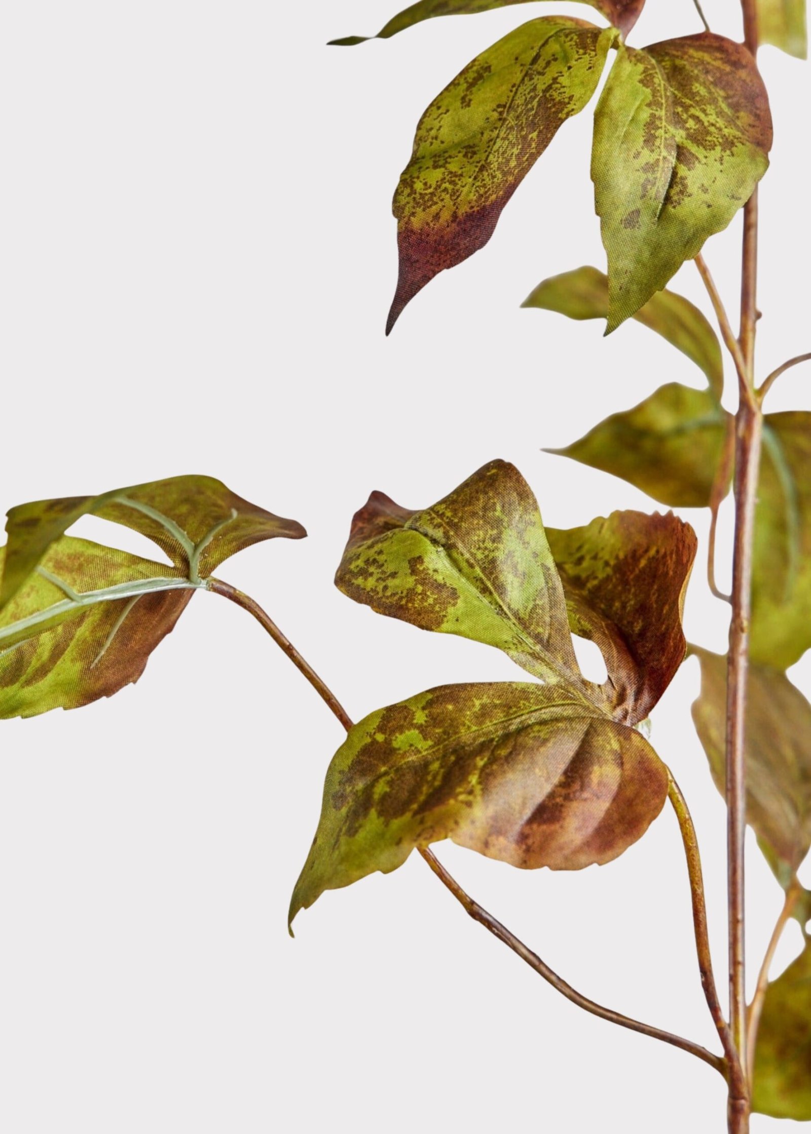 Faux Grape Ivy Stem in Green Eggplant - 48" - Image 2