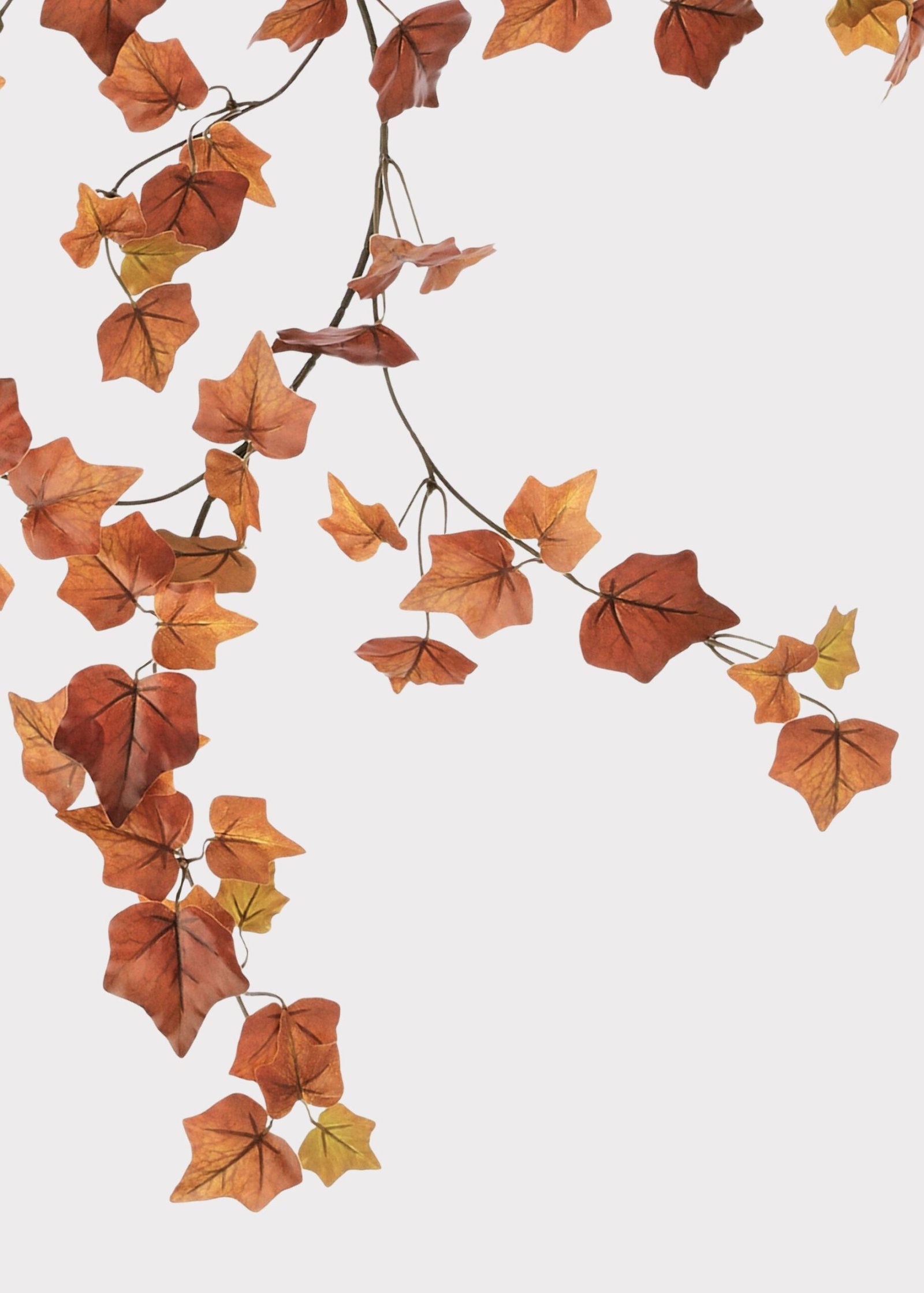 Fake Cottage Ivy Leaf Garland in Fall Hues - 66" - Image 2
