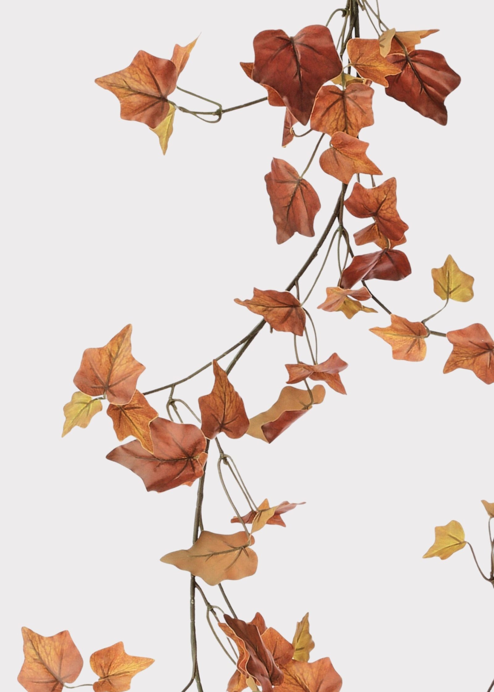 Fake Cottage Ivy Leaf Garland in Fall Hues - 66" - Image 3