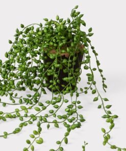 Fake String of Pearls Succulent Drop-In Plant - 17"