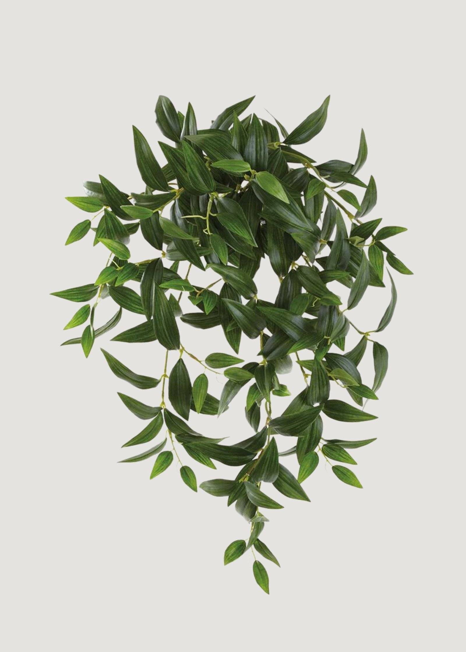 Artificial Hanging Ruscus Leaf Bush - 22" - Image 2