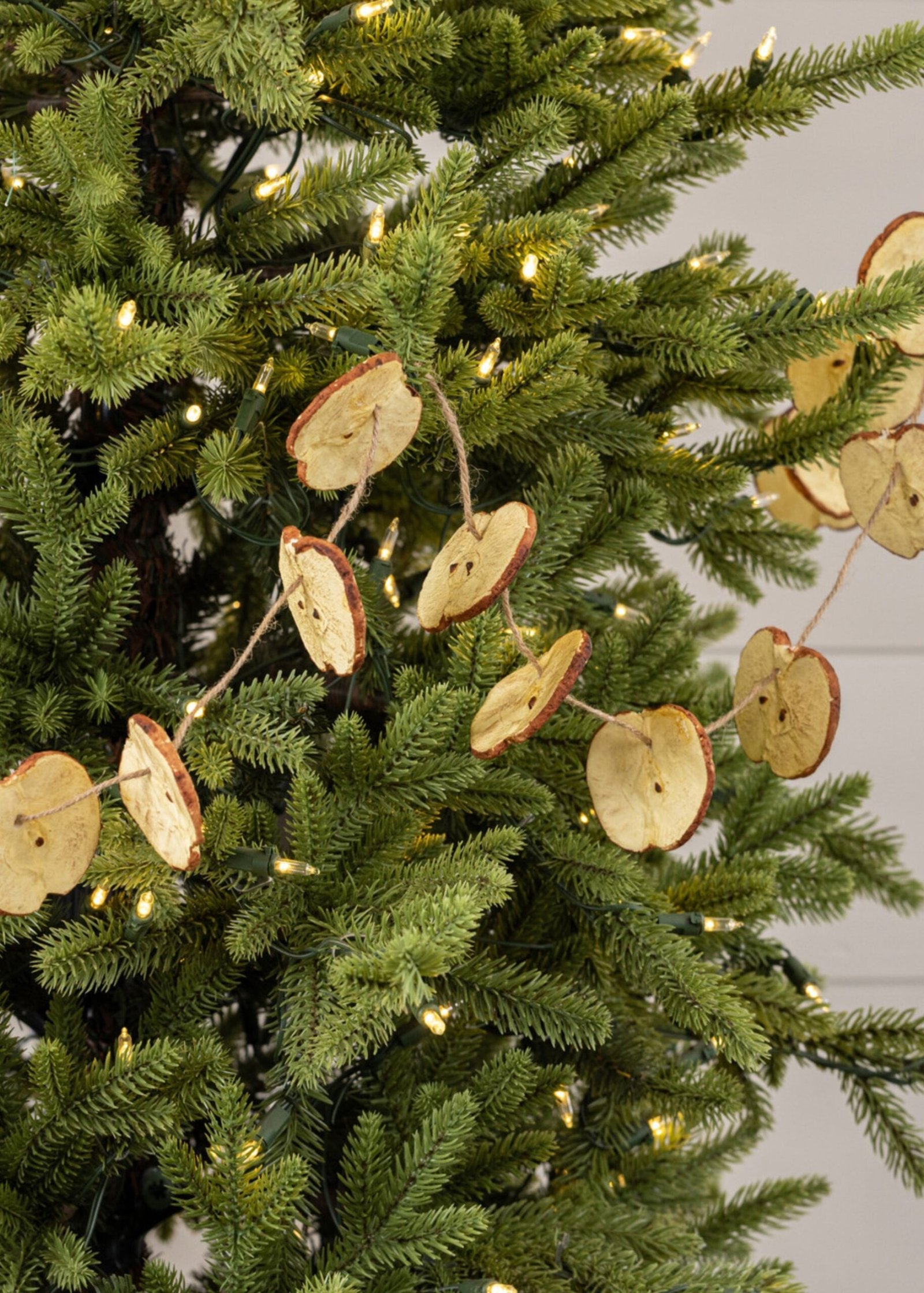 Artificial Holiday Fruit Red Apple Slice Garland - 60" - Image 3