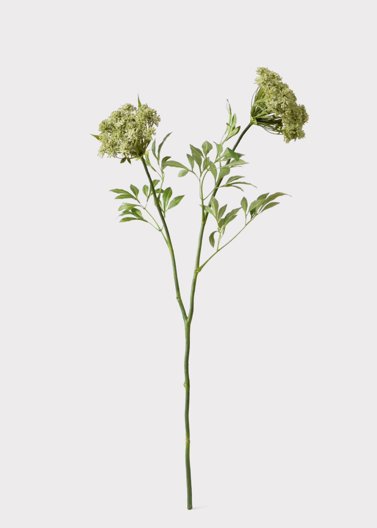 SAVE - Faux Queen Anne's Lace Wildflowers - 36" - Image 5