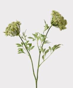 SAVE - Faux Queen Anne's Lace Wildflowers - 36"