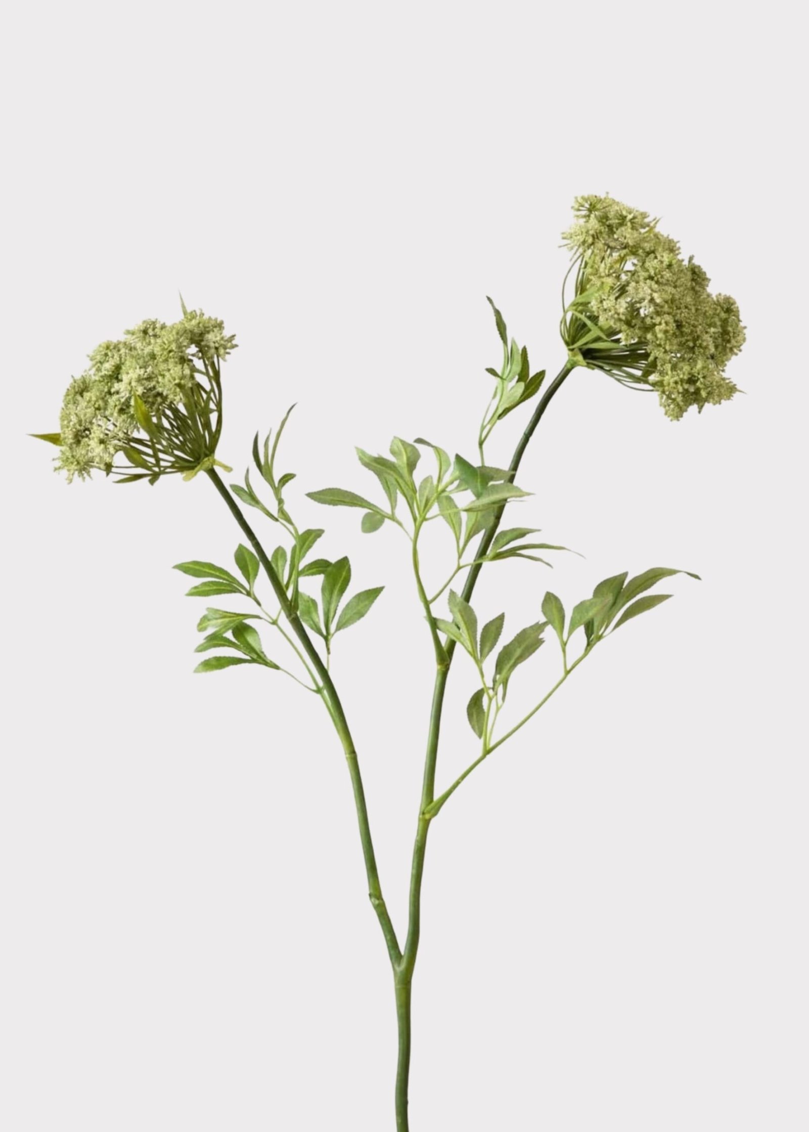 SAVE - Faux Queen Anne's Lace Wildflowers - 36"