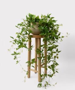 SAVE - Deluxe Artificial Hanging Tradescantia Houseplant- 41"