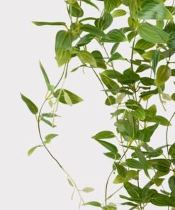 Alternative view of SAVE - Deluxe Artificial Hanging Tradescantia Houseplant- 41"