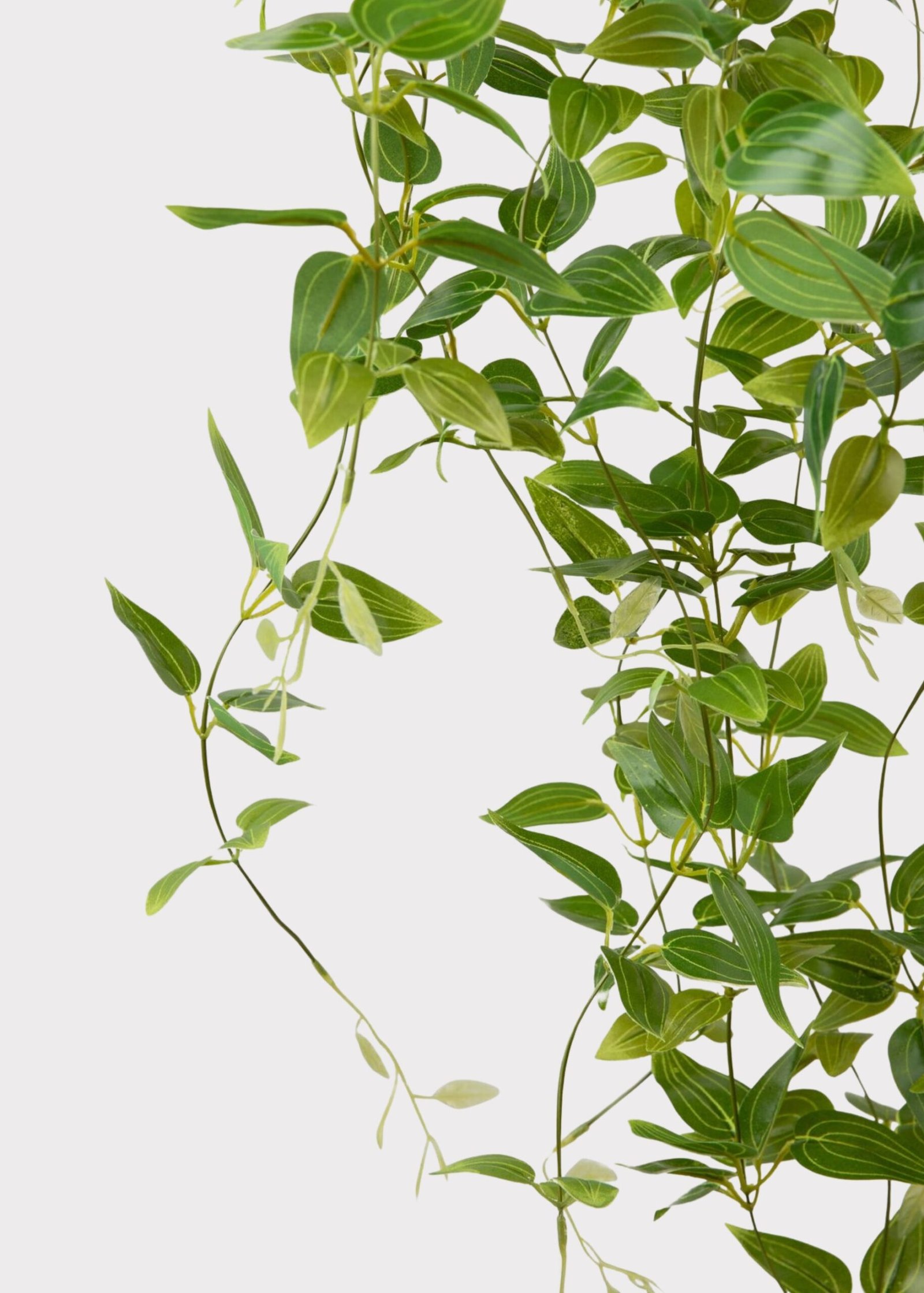 SAVE - Deluxe Artificial Hanging Tradescantia Houseplant- 41" - Image 2