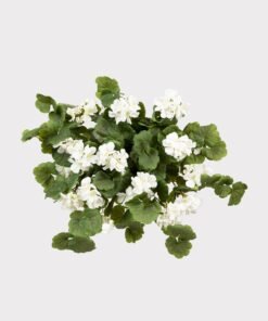 Alternative view of UV Treated Geranium Hanging Bush Outdoor Fake Plants - 27"