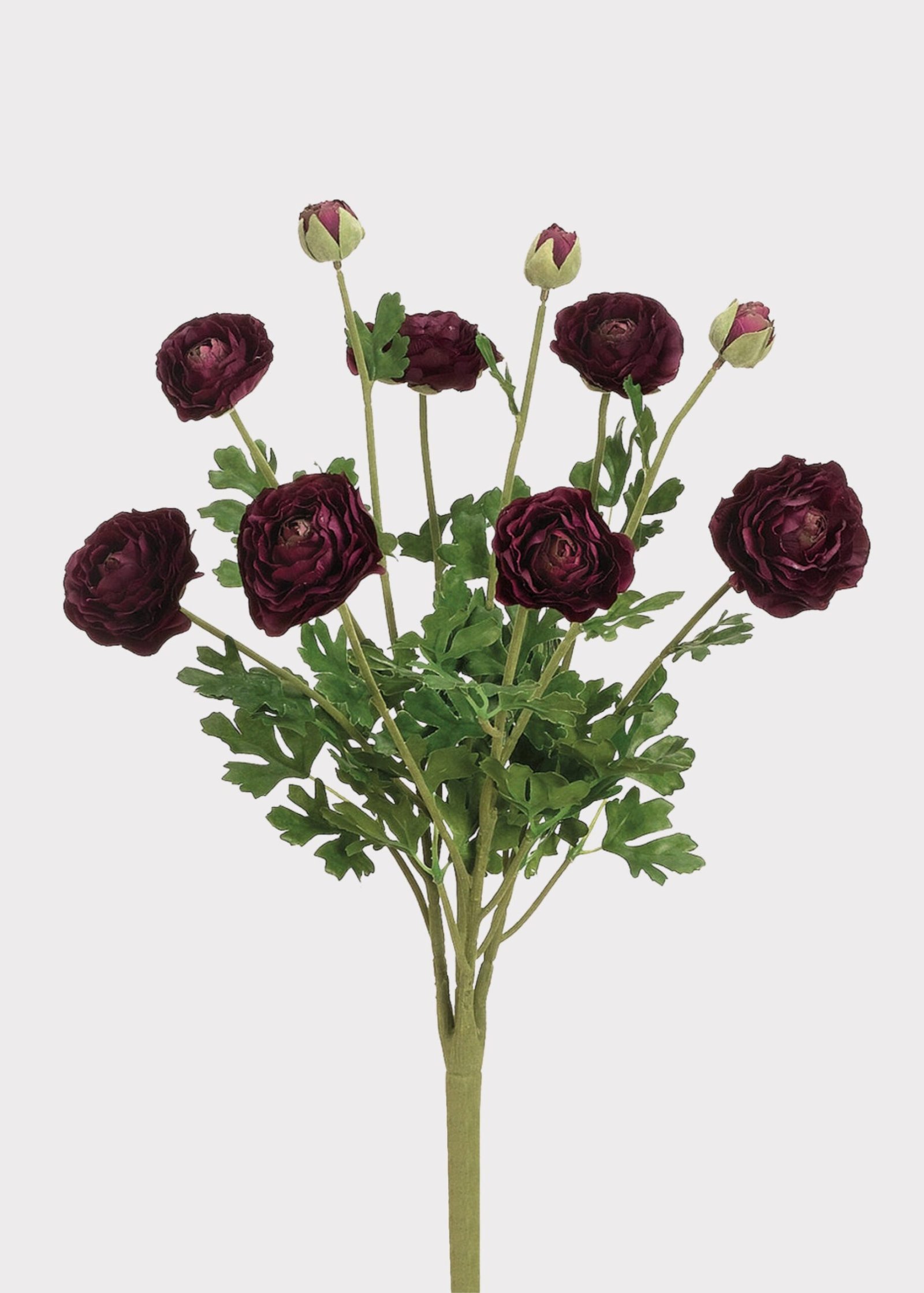 Artificial Ranunculus Flower Bush in Aubergine - 19" - Image 2