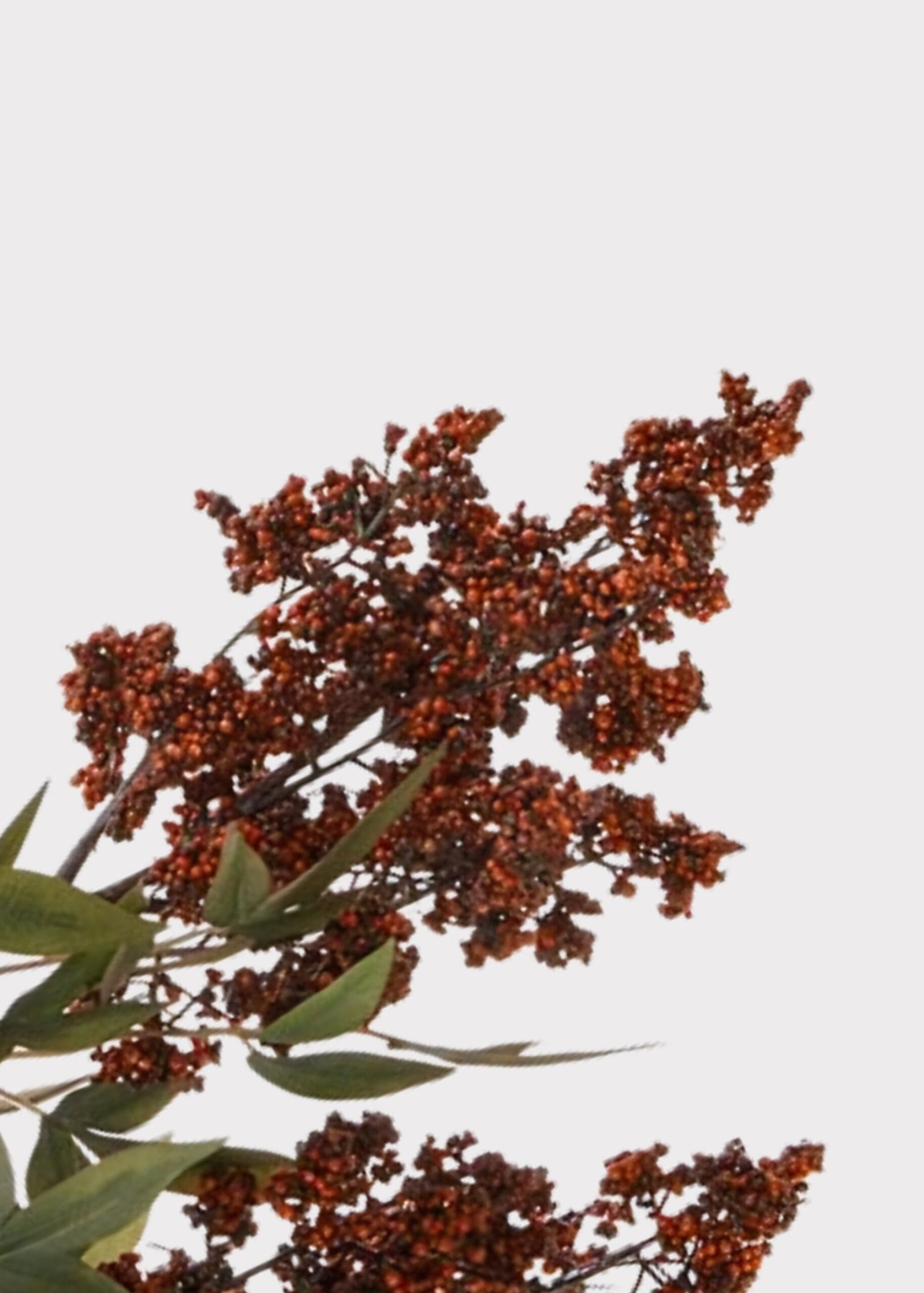 Burgundy Fake Hanging Nandina Berry Branch - 45" - Image 4