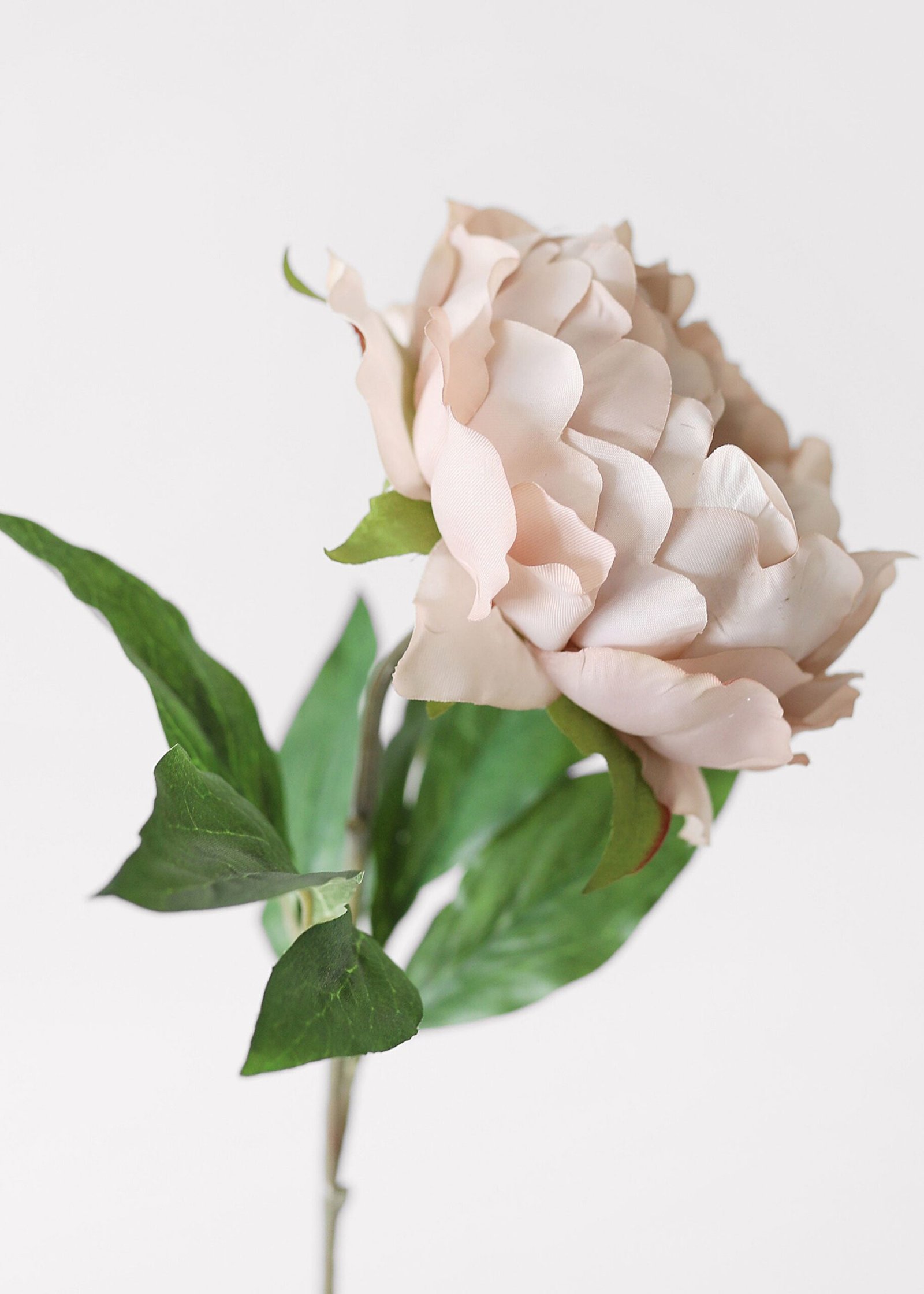 Artificial Peony Flower in Mauve Beige - 18.5" - Image 4