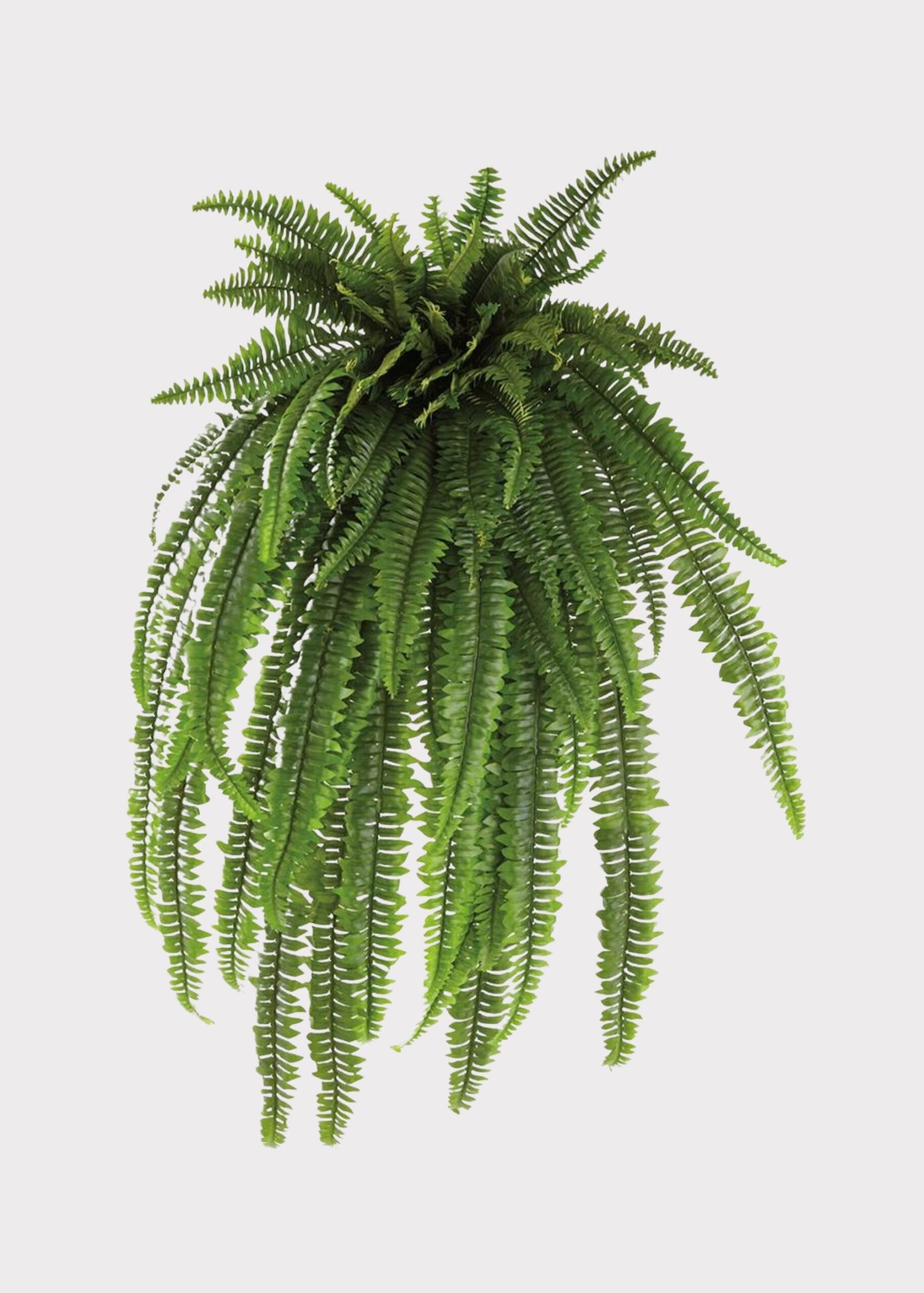 The Grand Dame Deluxe Artificial Estate Fake Fern - 52"