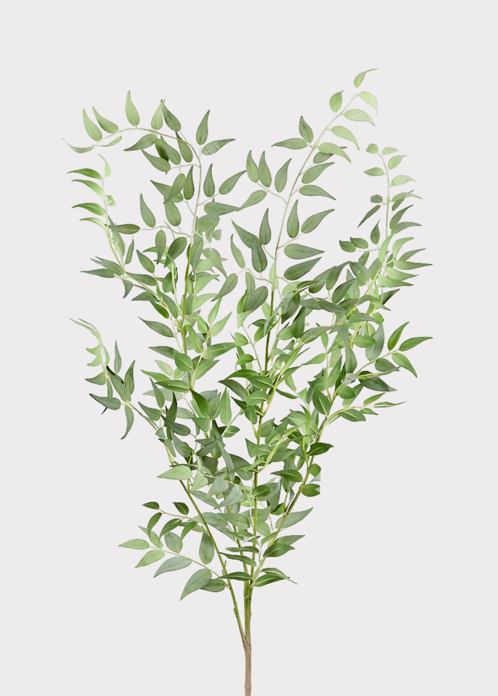 Faux Italian Ruscus Spray - 46" - Image 3