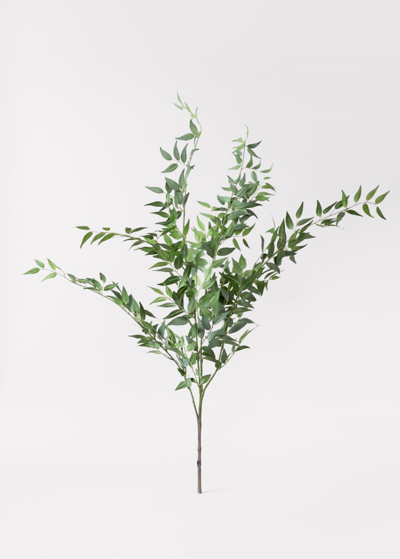 Faux Italian Ruscus Spray - 46"