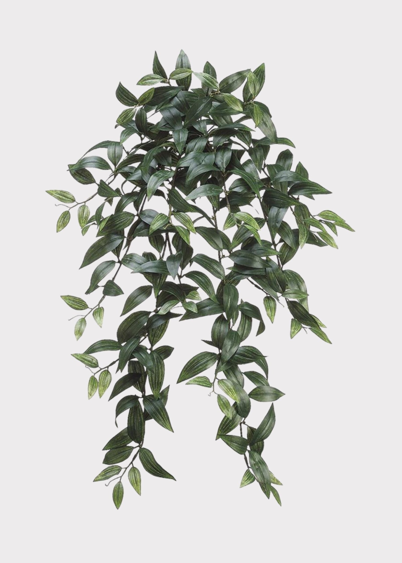 Fake Ruscus Leaf Hanging Plant - 31"