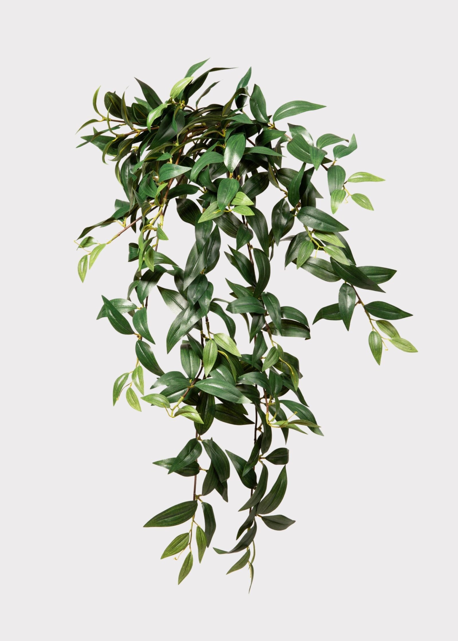 Fake Ruscus Leaf Hanging Plant - 31" - Image 4