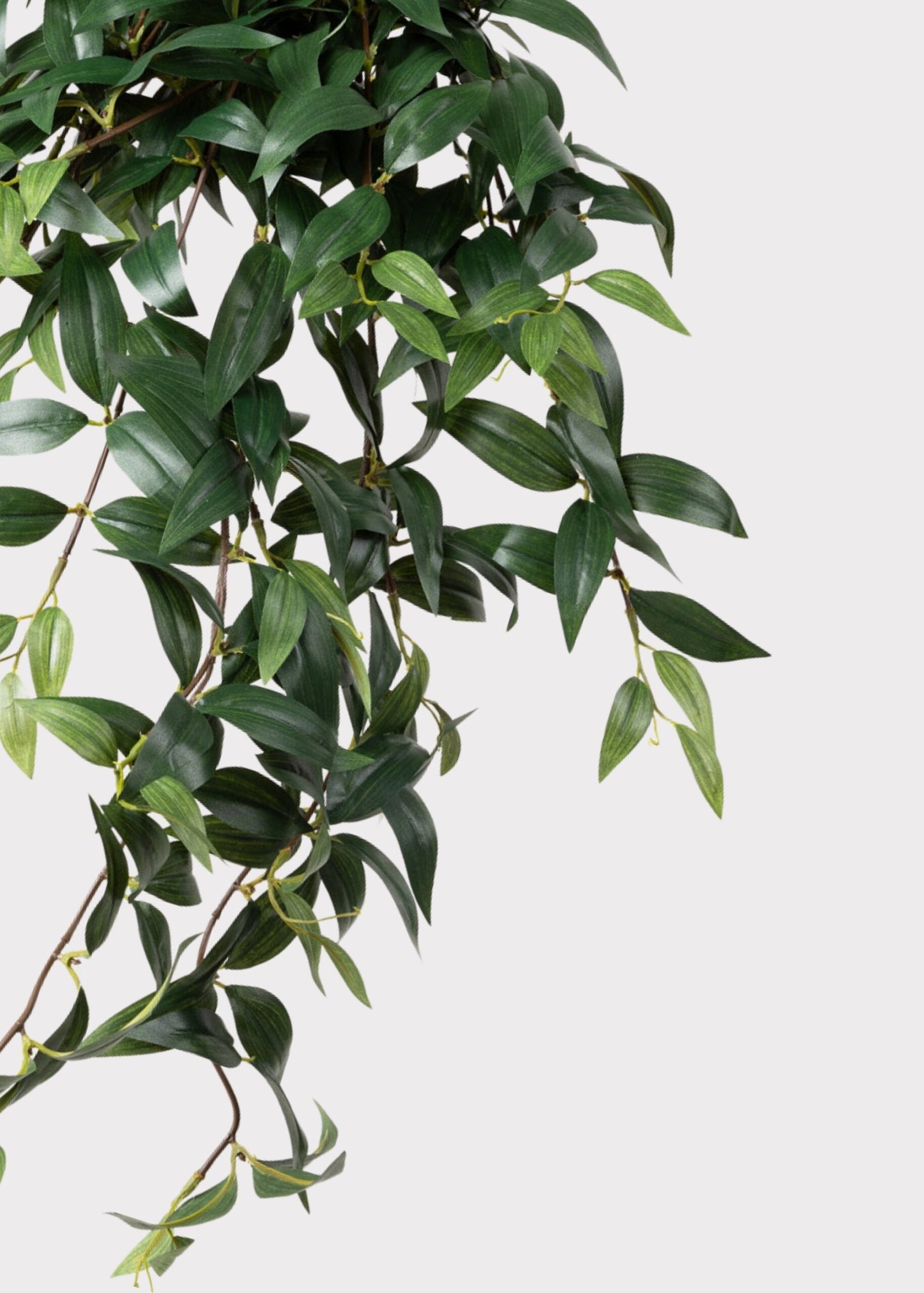 Fake Ruscus Leaf Hanging Plant - 31" - Image 6