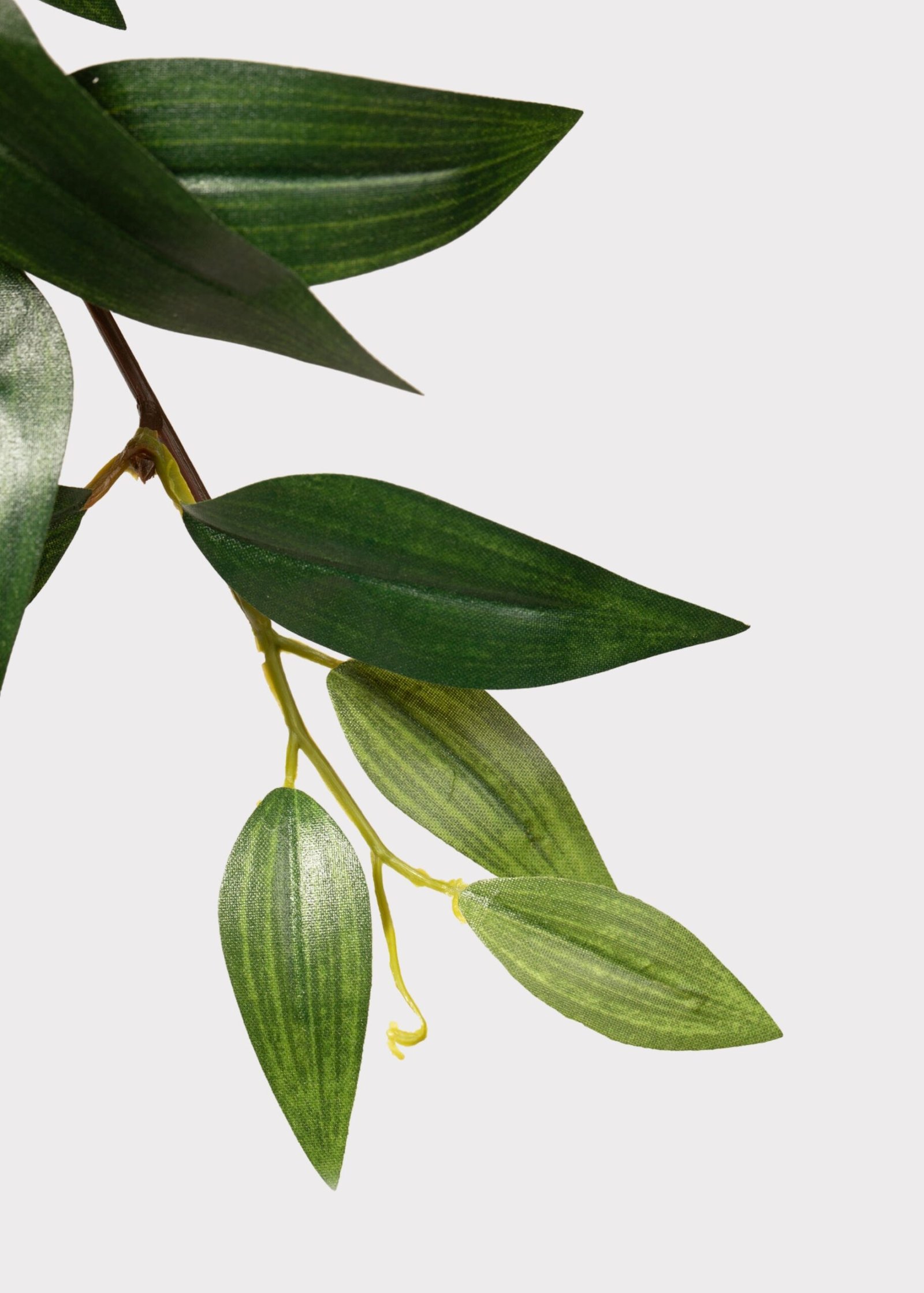 Fake Ruscus Leaf Hanging Plant - 31" - Image 3