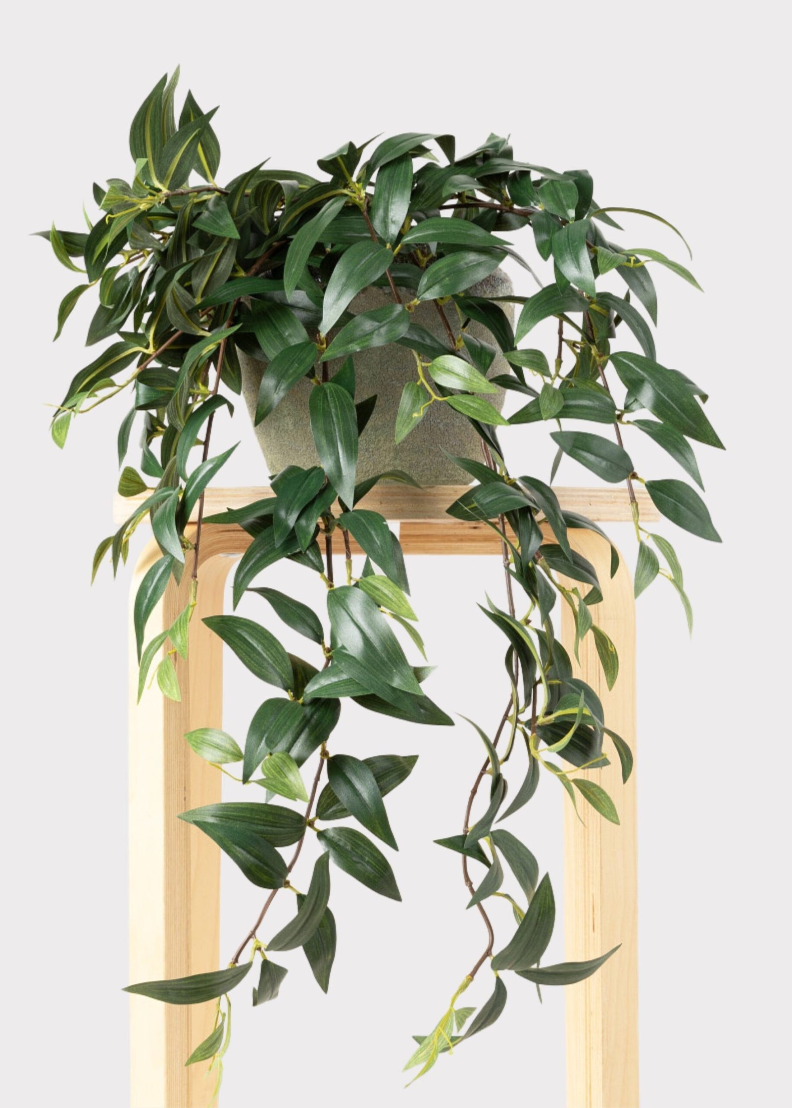 Fake Ruscus Leaf Hanging Plant - 31" - Image 2