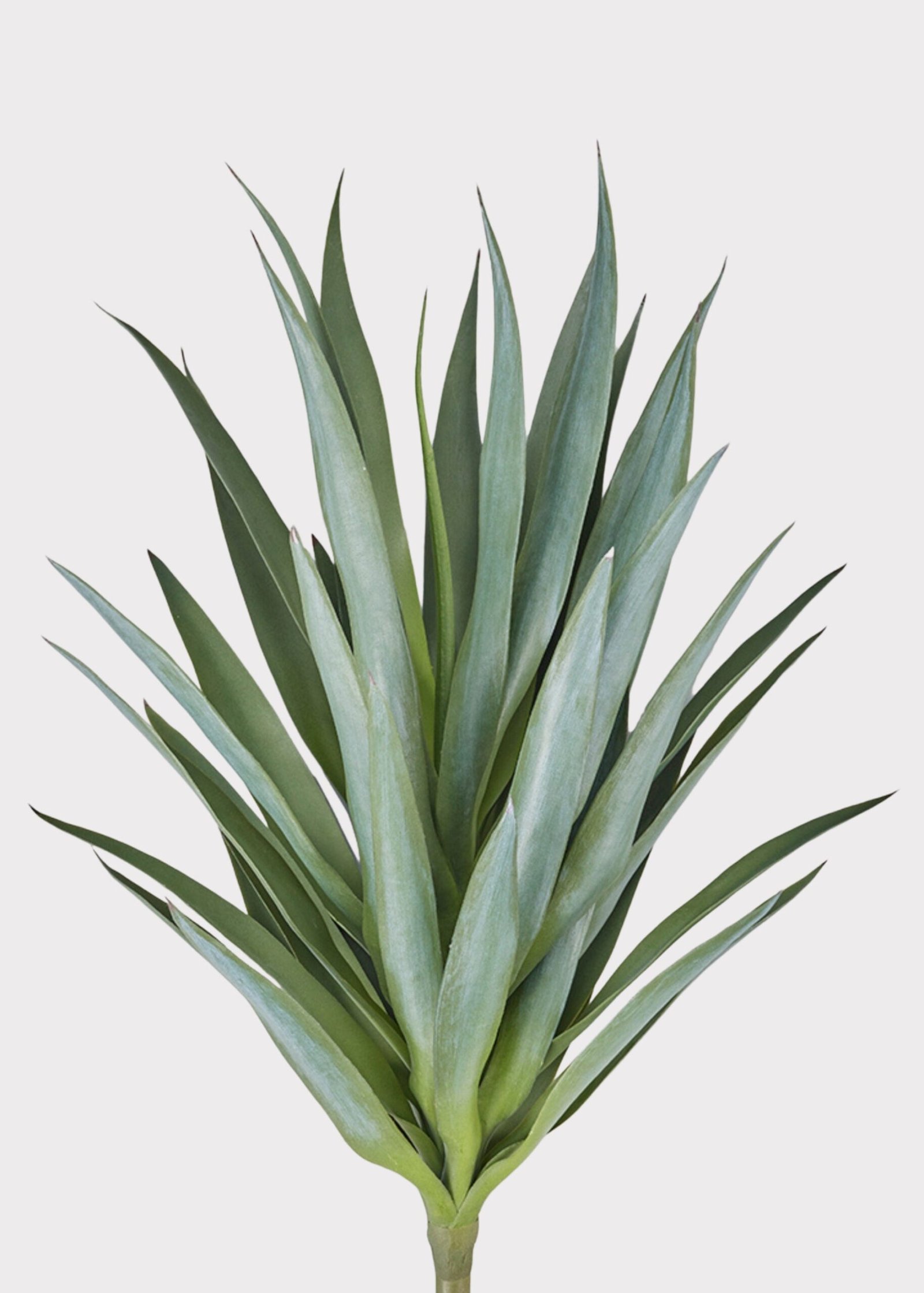 SAVE - UV Resistant Artificial Outdoor Yucca Plant - 27" - Image 5