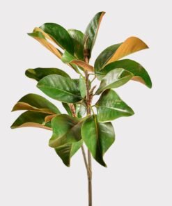 Faux Magnolia Leaf Branch - 41"