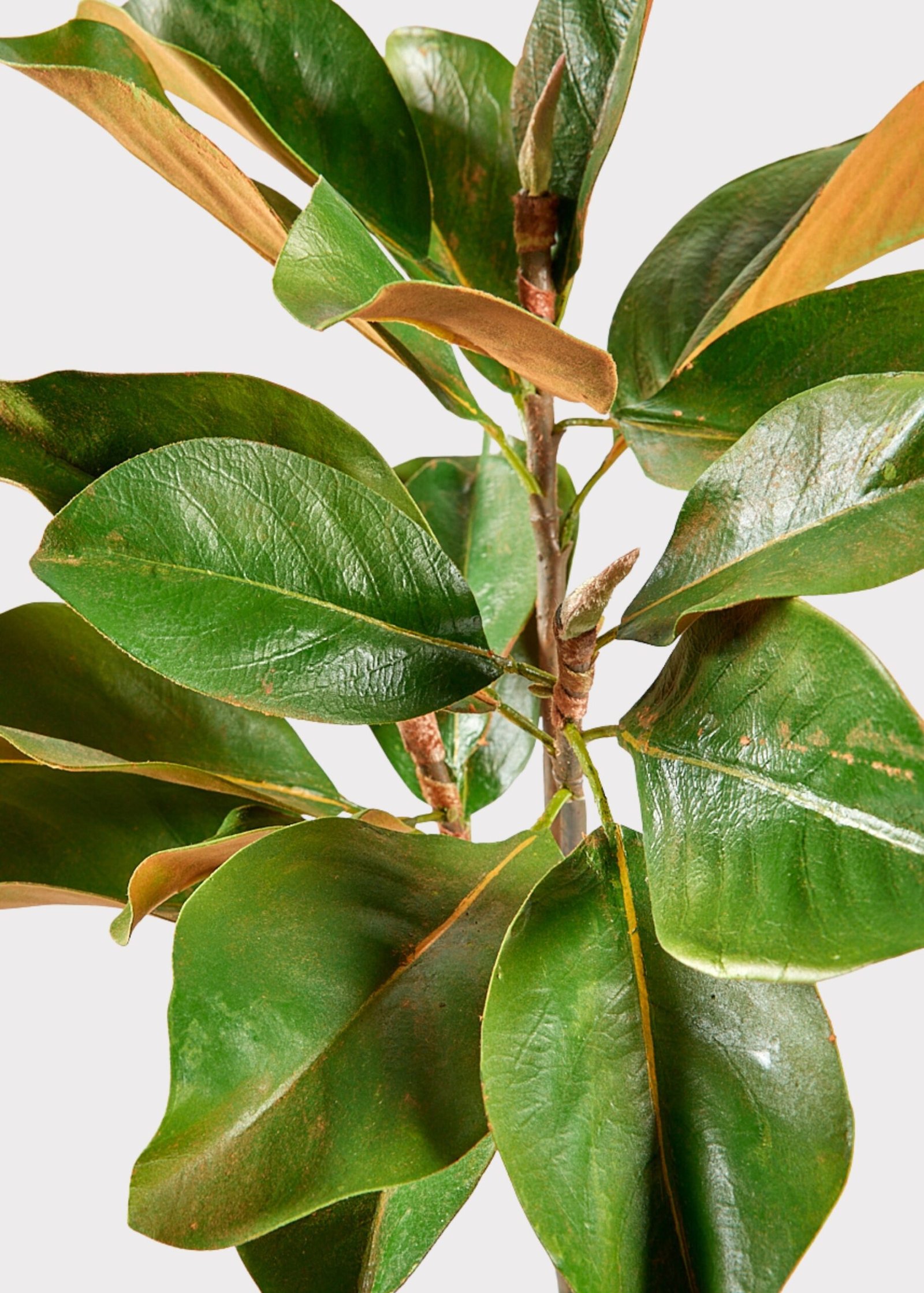 Faux Magnolia Leaf Branch - 41" - Image 4