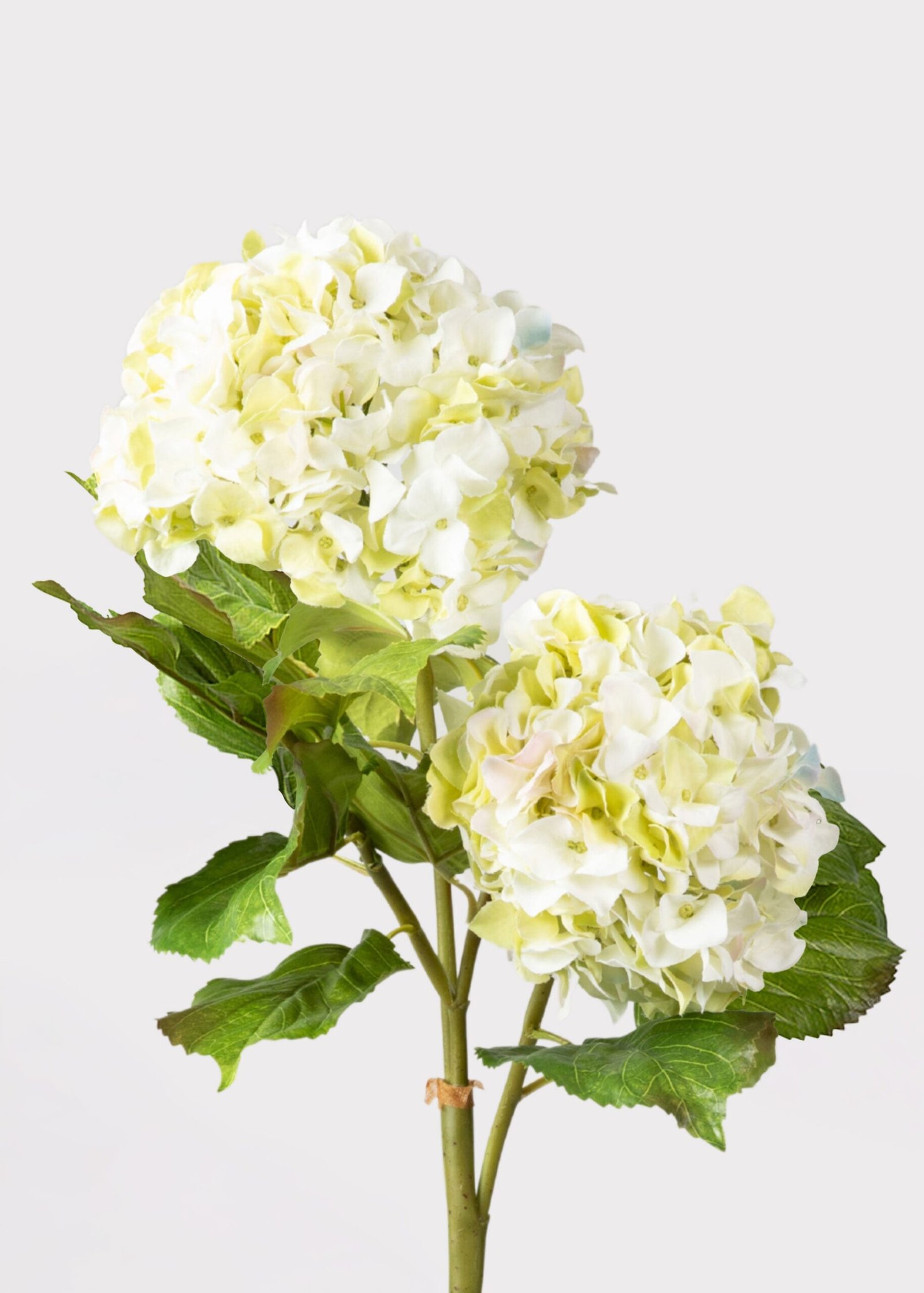 Cream Green Artificial Hydrangea Branch - 36" - Image 2