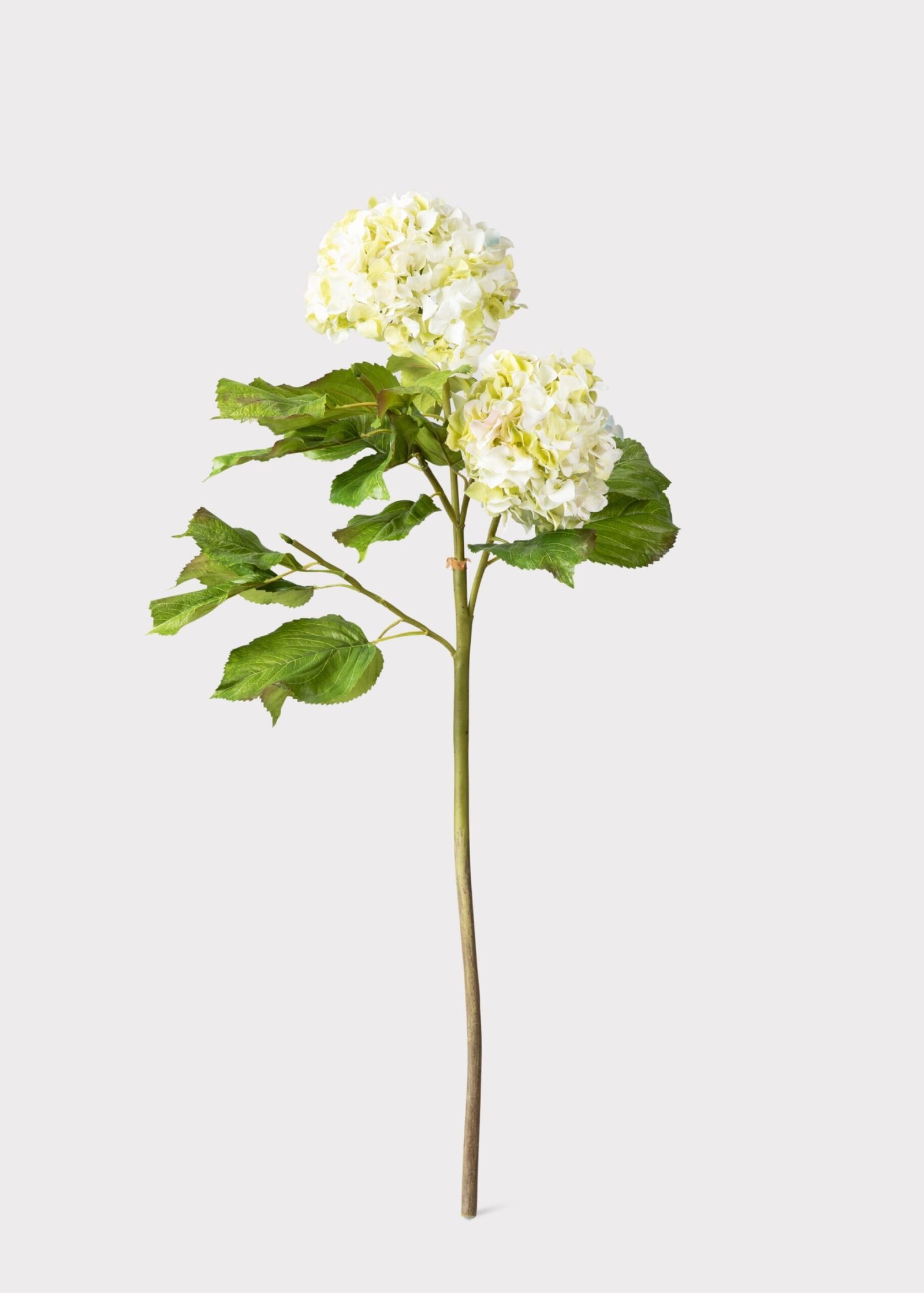 Cream Green Artificial Hydrangea Branch - 36" - Image 3