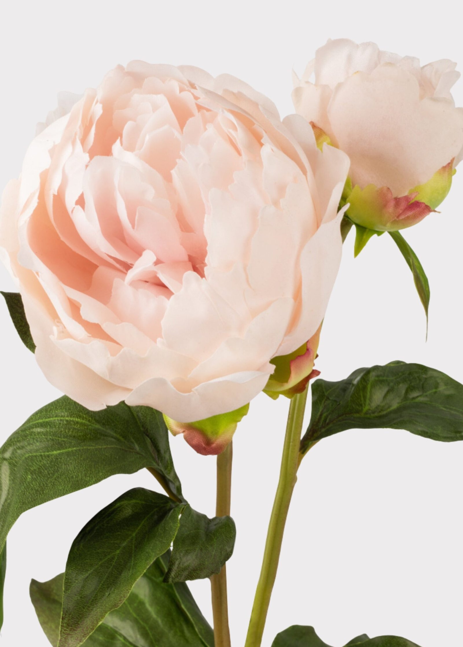 Real Touch Fake Flowers Blush Peony - 27" - Image 3