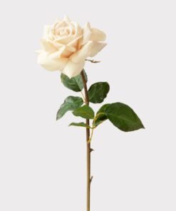 Beige Real Touch Duchess Rose Fake Flower - 20"