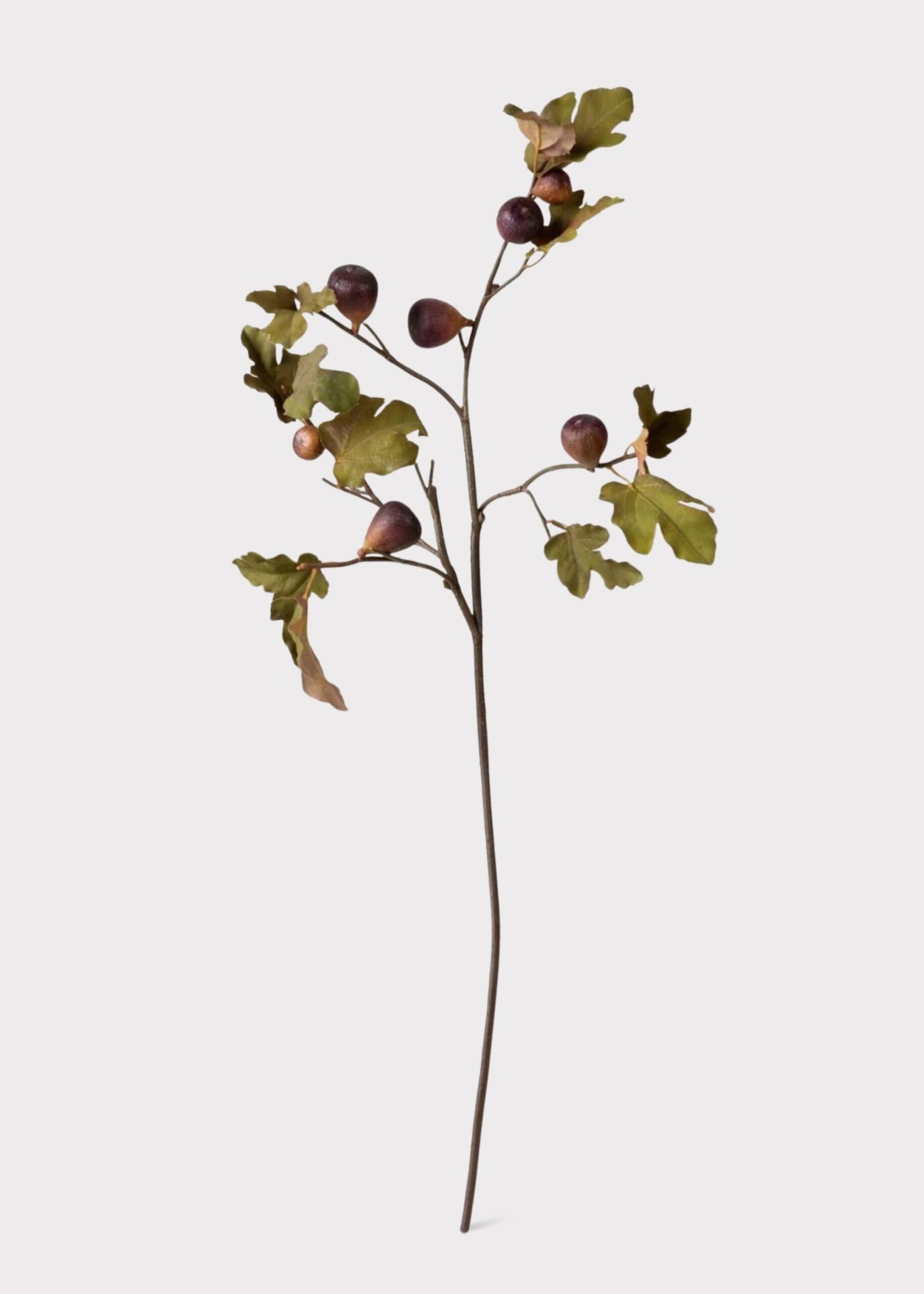 Premium Faux Fig Branch in Eggplant - 37" - Image 5