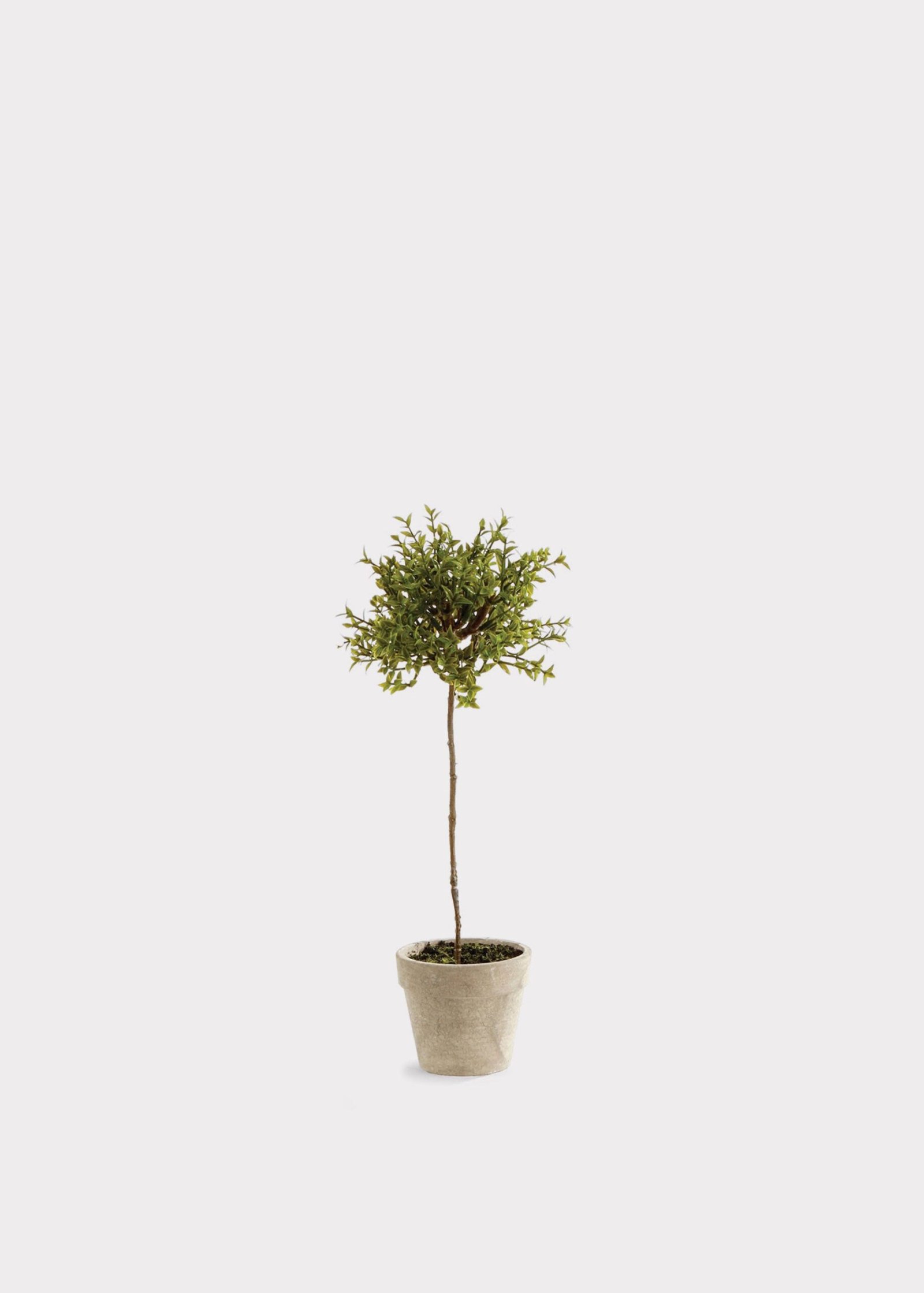 Artificial Thyme Herb Topiary Potted Plant - 13"