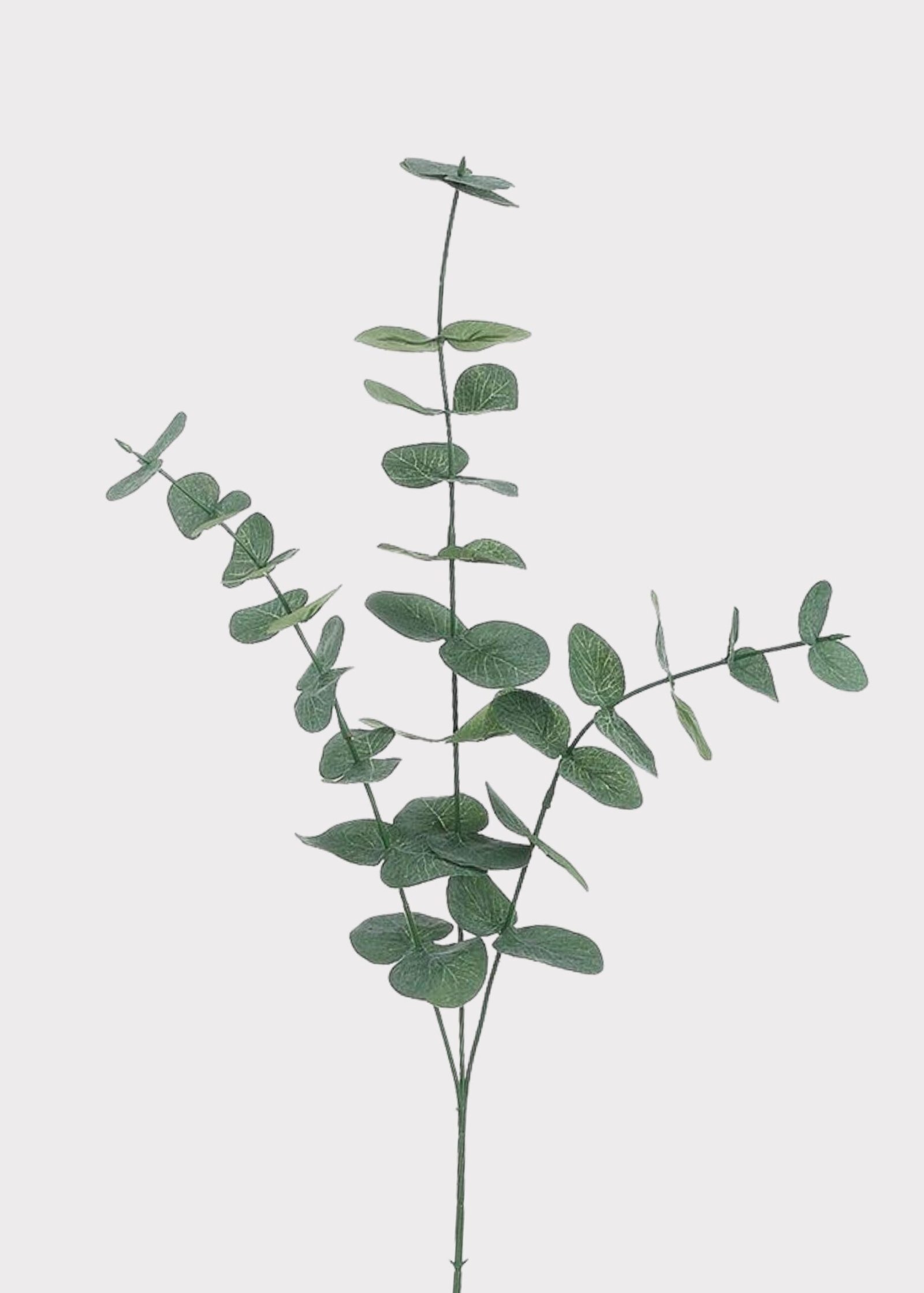 Fake Spiral Eucalyptus Branch - 31"