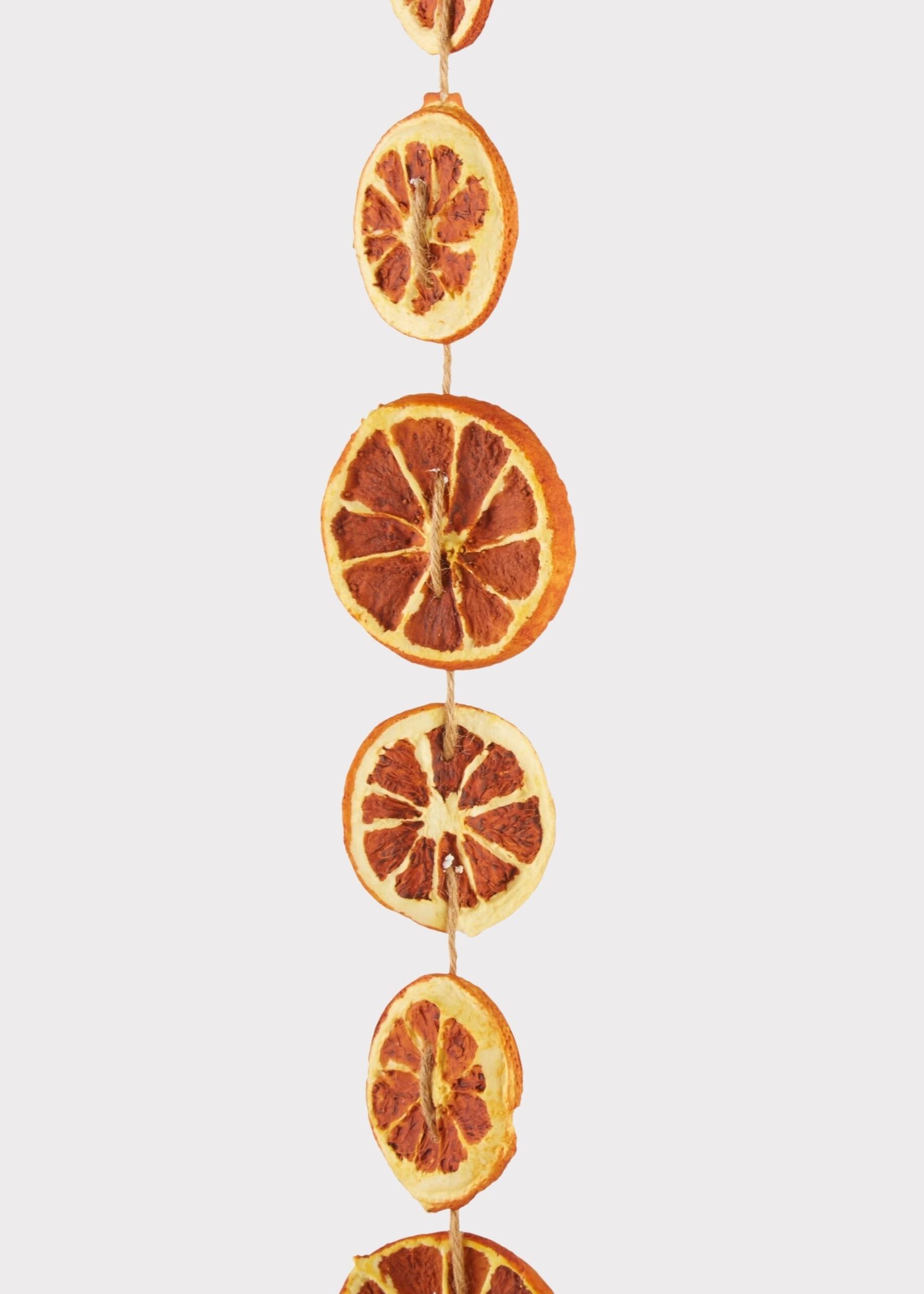 Artificial Orange Slice Holiday Garland - 66"