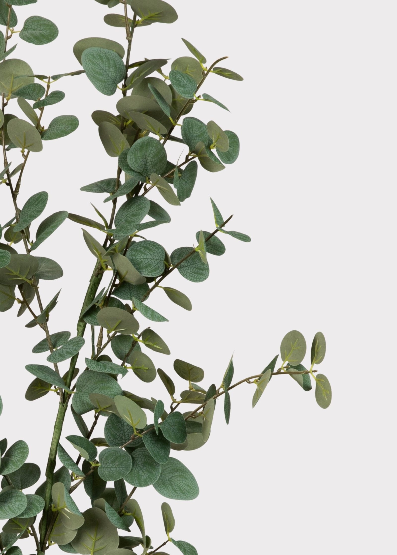 Deluxe Tall Eucalyptus Faux Branch - 48" - Image 3